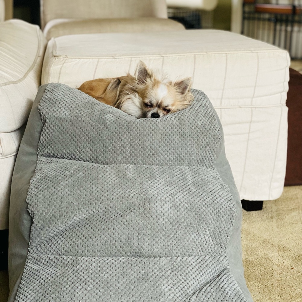 Best Orthopedic Micro Bead small Pet stairs